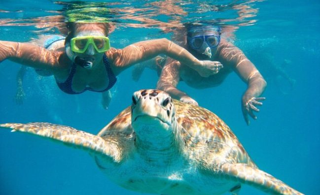 Journée à Marsa Alam en van