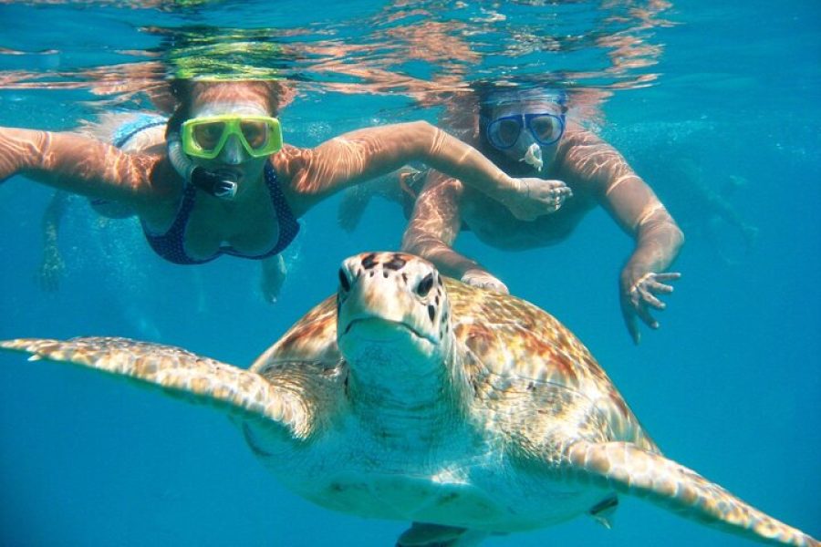 Journée à Marsa Alam en van
