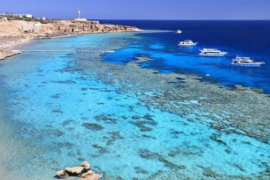 Journée à Marsa Alam en van avec hors-bord